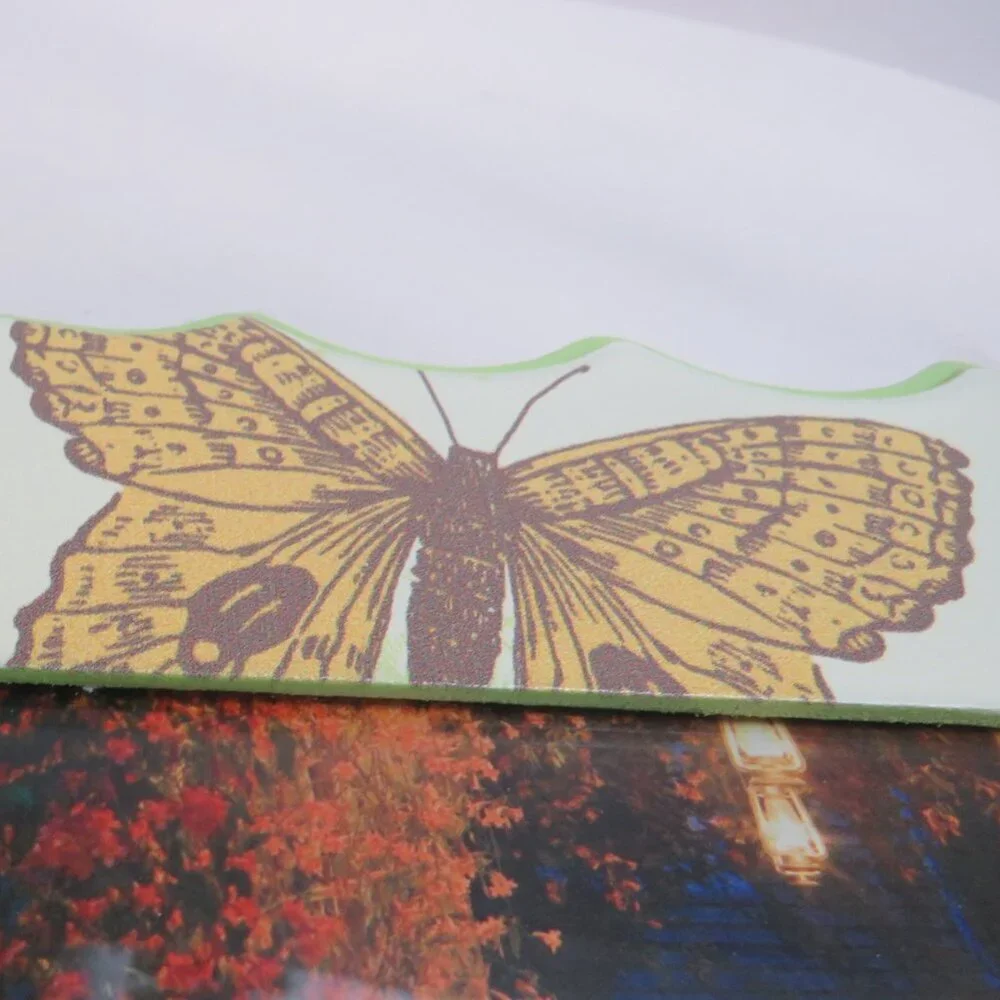 Orange Lime Green Floral Butterfly Picture Frame